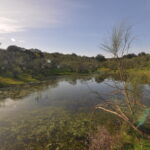 FINCA RÚSTICA EN LA ZONA DE ALCÁNTARA. REF: VR10980