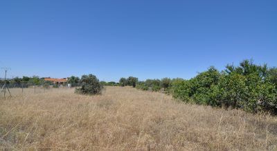 LAS CAÑADILLAS