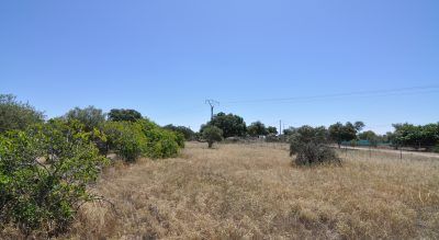 LAS CAÑADILLAS
