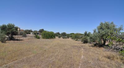 LAS CAÑADILLAS