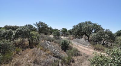 LAS CAÑADILLAS
