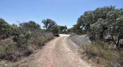 LAS CAÑADILLAS